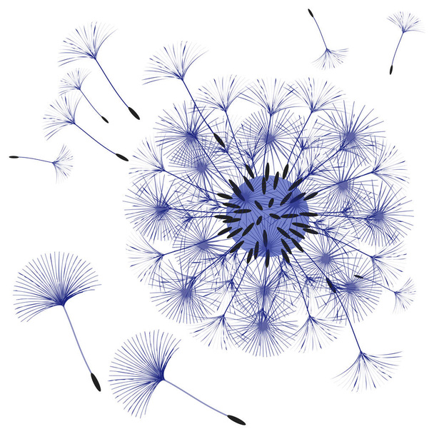 Abstract background of a dandelion for design. - Vector, Image