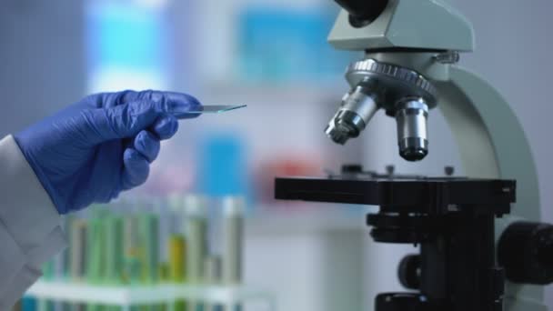 Laboratory assistant taking blood sample for genetics examination, microbiology - Filmagem, Vídeo