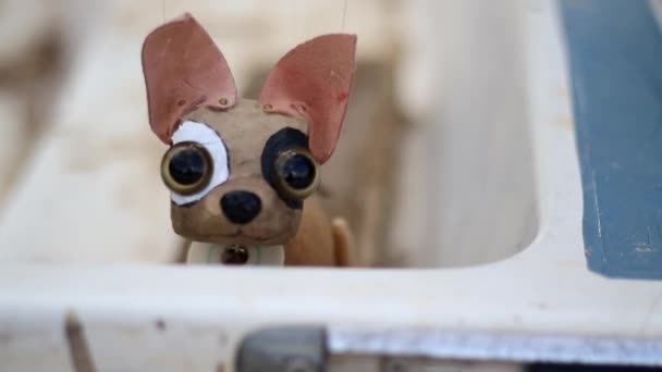 Realistyczna animacja lalek Chihuahua - Materiał filmowy, wideo
