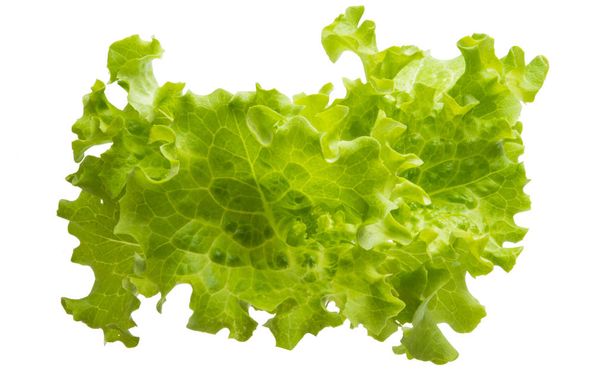 lettuce leaves isolated  - Photo, Image