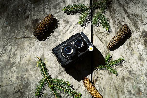 Vintage aparatu na szarym tle drewnianych w lesie, koncepcja przyrody, miejsce - Zdjęcie, obraz