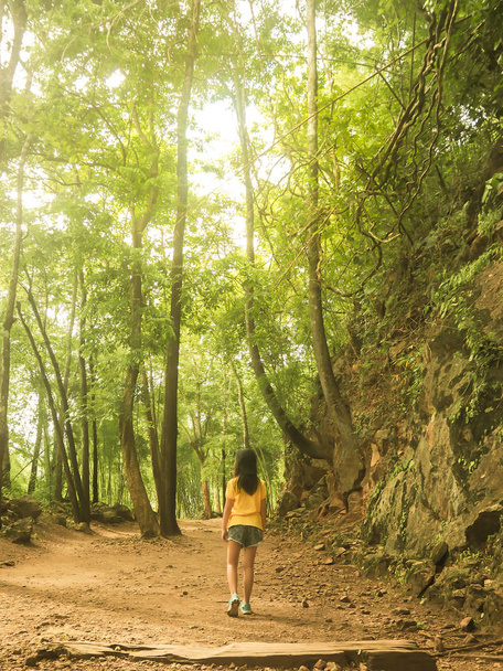 see behind of girl kid wear yellow shirts walk in forest on rouge of ground, rays of the sunlight on forest - Foto, Imagem