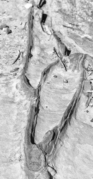 abstrato fundo textura da rocha
 - Foto, Imagem