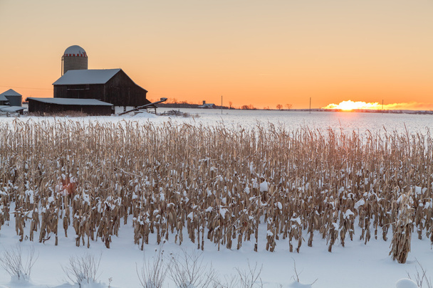 Winter Farm - Photo, Image