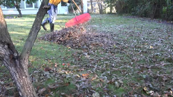 homem ancinho coberto de folhas secas no dia de outono frio. 4K
 - Filmagem, Vídeo