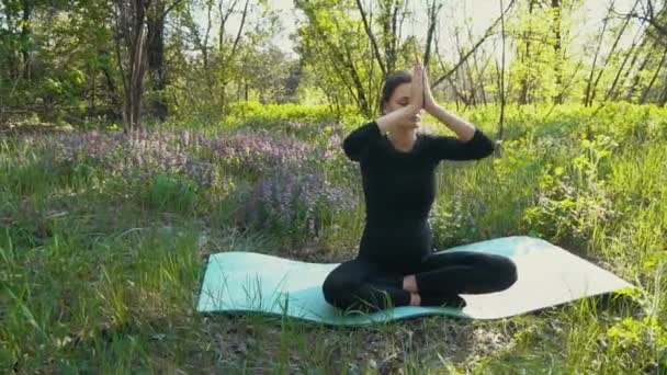 young pregnant woman doing yoga outside. - Footage, Video