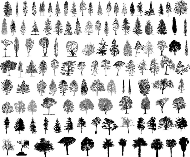 Silhouette degli alberi - Vettoriali, immagini