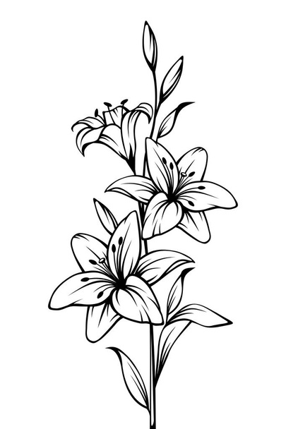 Vector black and white contour drawing of lily flowers. - ベクター画像