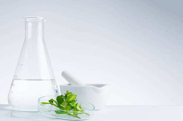 herbal medicine natural organic and scientific glassware research - Foto, Imagem