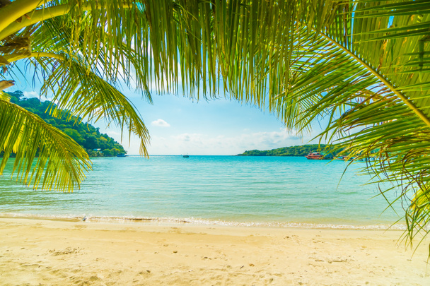 Belle plage tropicale et mer avec cocotier en parad
 - Photo, image