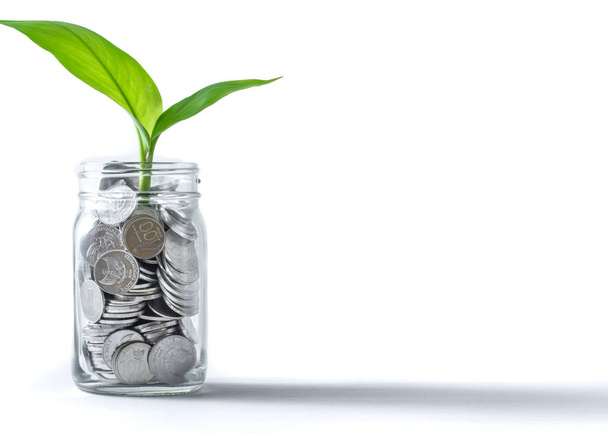 Münzen in einem Glas mit wachsender Pflanze, suggeriert Investitionen, Ersparnisse & Finanzwachstum. - Foto, Bild