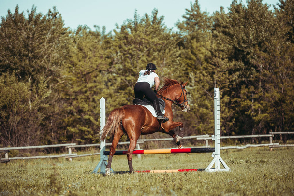 Jockey kobieta uczestniczy w rozgrywkach jeździectwo, skoki. - Zdjęcie, obraz