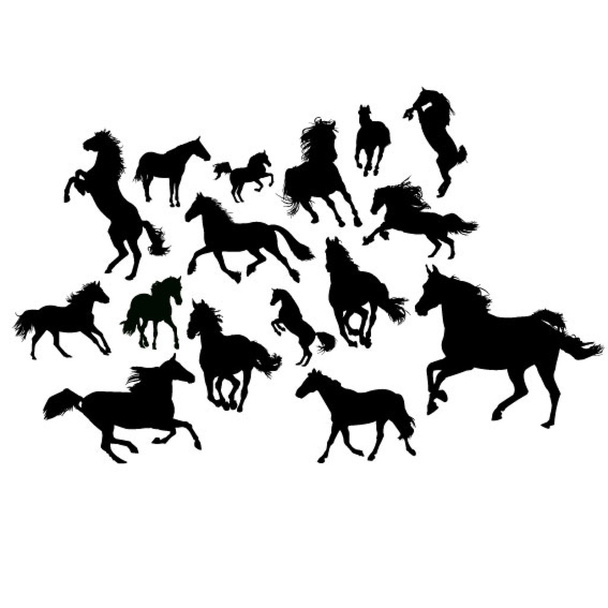 zestaw dzikie konie - Wektor, obraz