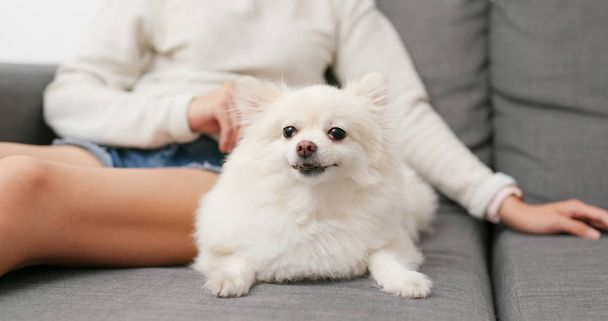 Nő fogmosás kutyája otthon  - Fotó, kép