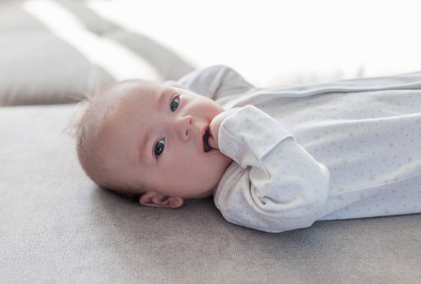 Portrait of a funny cute newborn baby lying on the couch, infanc - Фото, изображение
