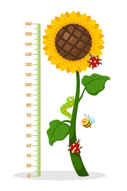 Meter wall with sunflower.vector illustration - Vector, Image