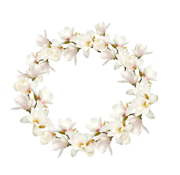 Magnolia flower bouquet isolated on white background. - Photo, Image