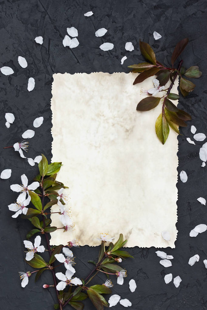 Spring background with cherry blossom on dark background - Photo, image