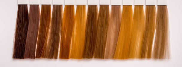 Μαλλιά στυλ διαφόρων αποχρώσεων για την σωστή επιλογή των χρωμάτων όταν co - Φωτογραφία, εικόνα