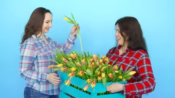 Deux jeunes femmes mignonnes fleuristes avec des tulipes
 - Séquence, vidéo