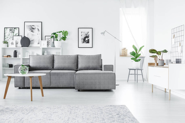 Grey and white living room - Φωτογραφία, εικόνα