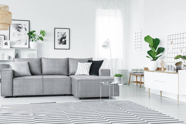White and grey flat - Foto, imagen