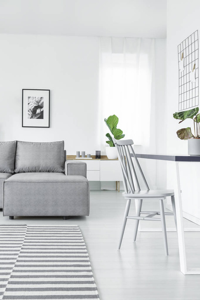 Grey bright open space interior - Фото, изображение