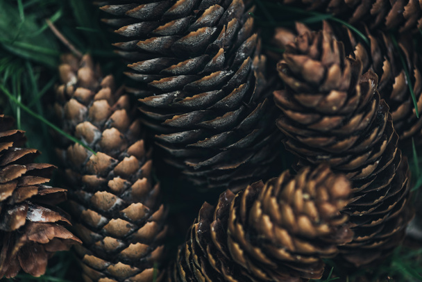 full frame image of pine cones background  - Foto, afbeelding