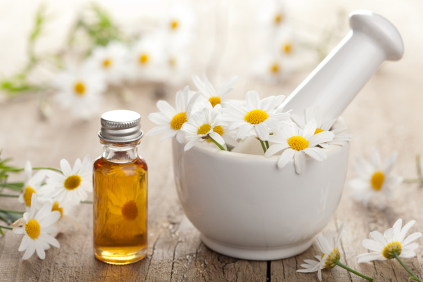 essential oil and camomile flowers in mortar - Photo, Image