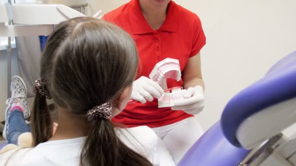 4 k πλάνα του ο οδοντίατρος χρησιμοποιώντας πλαστικό δόντια μοντέλο να διδάξει ασθενή πώς να χρησιμοποιήσετε οδοντόβουρτσα - Πλάνα, βίντεο
