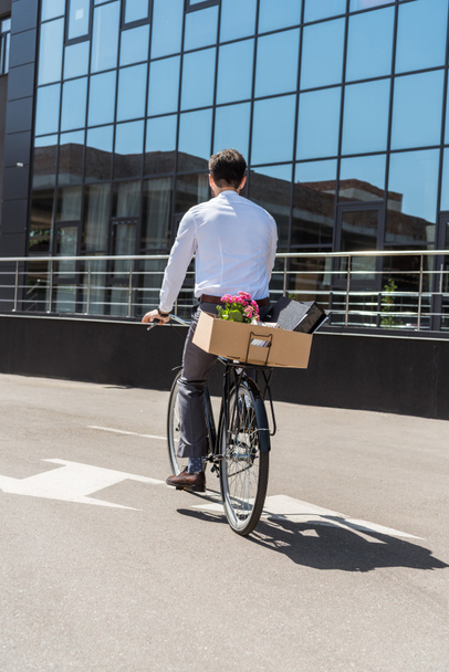 Vista trasera del gerente montando en bicicleta con caja en el maletero
 - Foto, Imagen