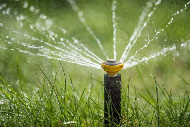 Дождеватель в действии поливая траву - Фото, изображение