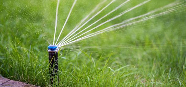 Дождеватель в действии поливая траву - Фото, изображение
