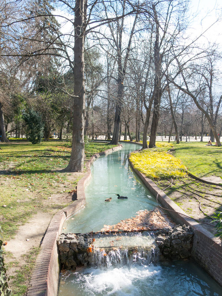 Anatre libere nuotano in uno dei canali del Parco del Buen Retiro, il parco più importante della città di Madrid. Spagna
 - Foto, immagini