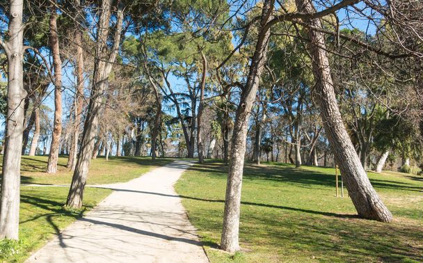 Caminho dentro do Parque Retiro em Madrid. O Parque Buen Retiro é um
 - Foto, Imagem