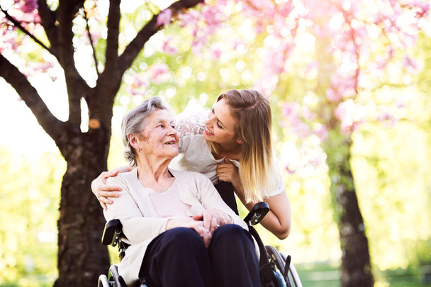 Elderly grandmother in wheelchair with granddaughter in spring nature. - Photo, Image