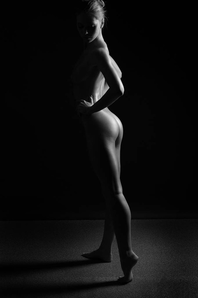 nude beautiful female body on a dark background - Фото, зображення