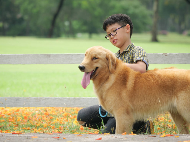 Asian boy playing with puppy dog golden retreiver in park - Foto, Imagen
