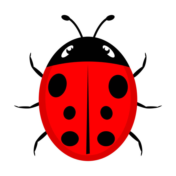 Een mooi eenvoudig design van een rood lieveheersbeestje  - Vector, afbeelding