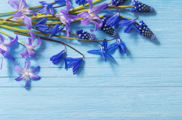 spring flowers on blue wooden background - Foto, imagen