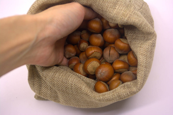 Hazelnuts in a bag. Nuts.  - Foto, Imagem