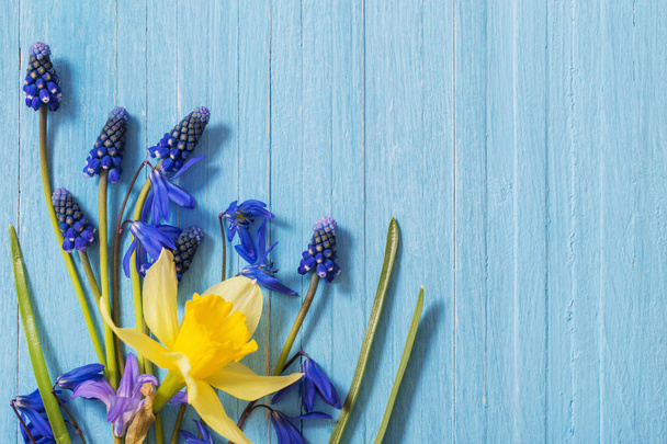 fleurs printanières jaunes et bleues sur fond en bois
 - Photo, image
