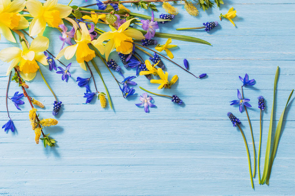 flores de primavera amarillas y azules sobre fondo de madera
 - Foto, imagen