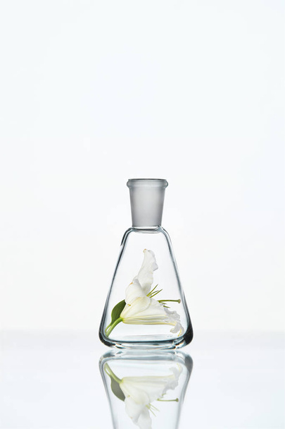 Laboratory. Transparent Glass With Flower - Foto, afbeelding