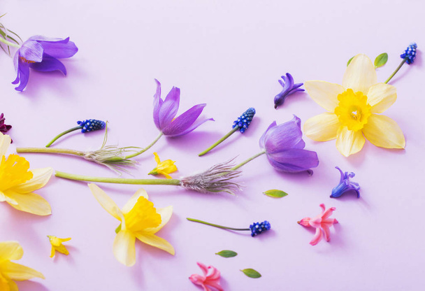 spring flowers on paper background - Fotoğraf, Görsel