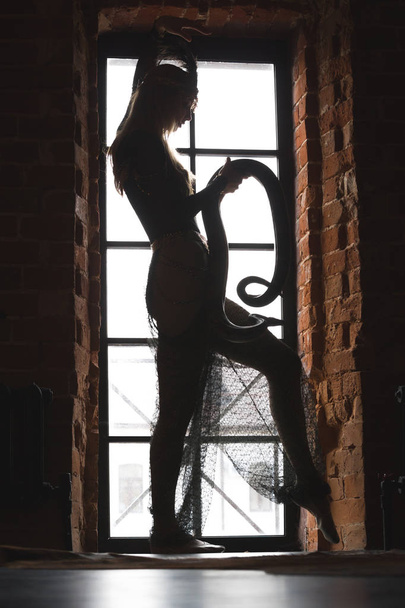 Hoikka naisten siluetti tanssii käärmeen kanssa ikkunan edessä
 - Valokuva, kuva