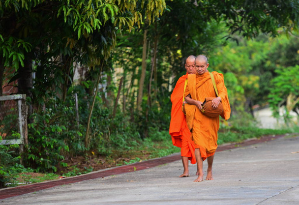 Буддійські монахи ходять парком. - Фото, зображення