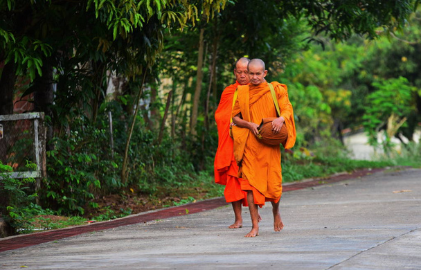 Buddhist monks walking in park - Foto, imagen