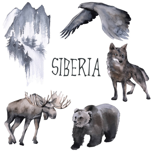 Set of Siberian. Moose, wolf, moon and eagle. isolated on white background.  - Photo, Image