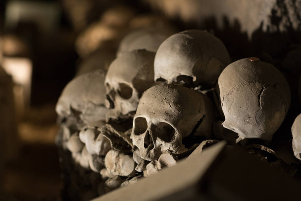 Skull and bones - Photo, Image